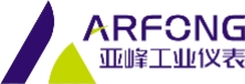 濰坊亞峰化工儀表有限公司